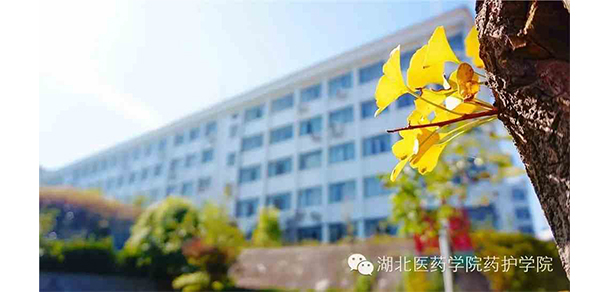 湖北醫(yī)藥學院藥護學院