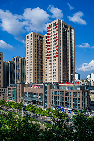 武漢理工大學