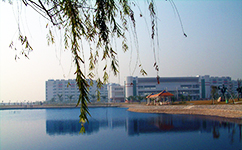廣東科學技術(shù)職業(yè)學院 - 我的大學