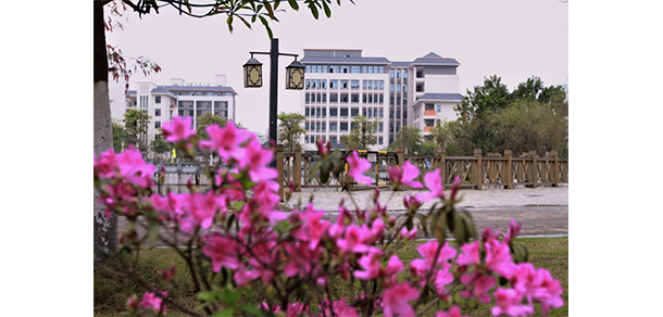 惠州衛(wèi)生職業(yè)技術(shù)學院 - 最美大學