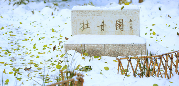 2021年招生分數(shù)