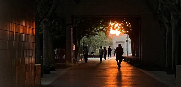 我的大學-大學志