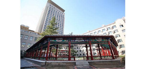 我的大學-大學志