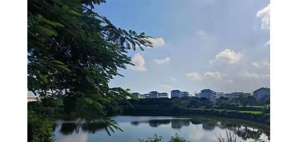 我的大學-大學志