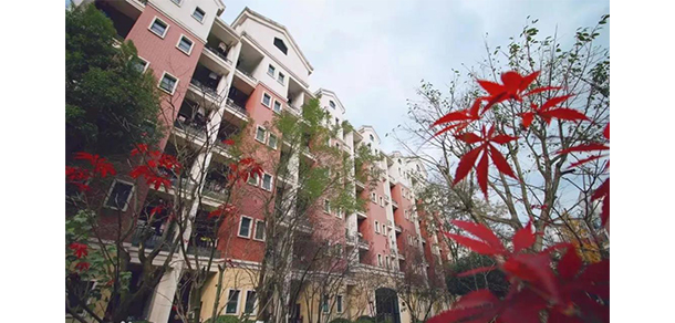 2022年招生分數(shù)