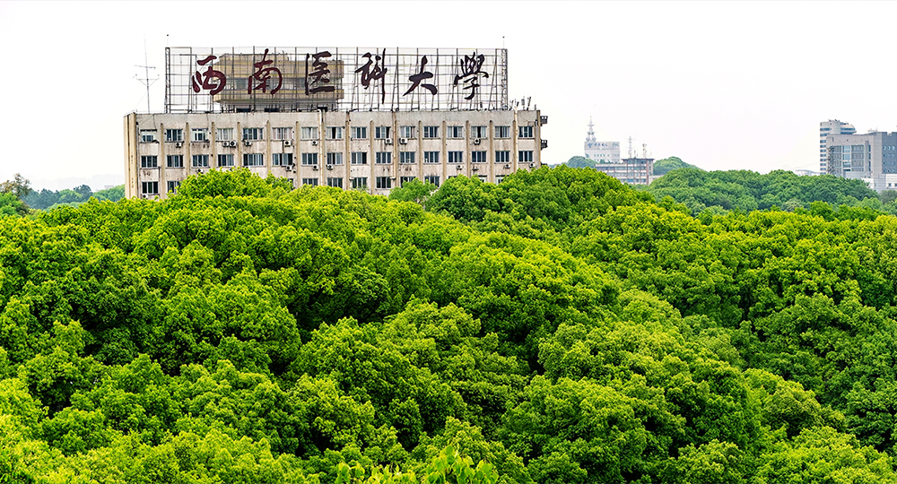 時光匆匆，歲月如歌！——珍惜自己最美好的時光，珍惜時下，放肆而不張揚(yáng)的青春年華。