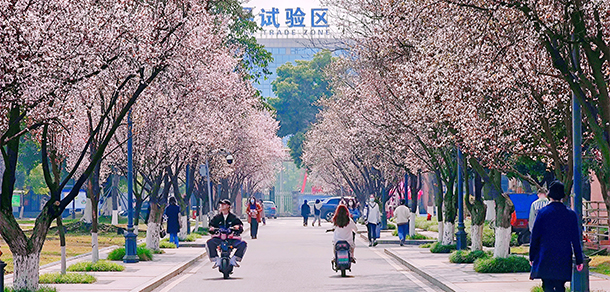 西南民族大學 - 最美大學