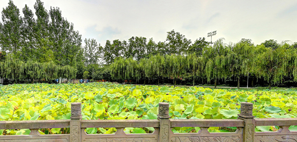 我的大學-大學志