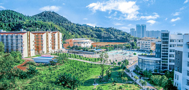 我的大學(xué)-大學(xué)志