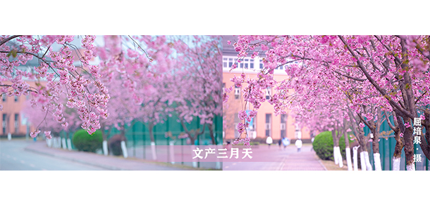 四川文化產業(yè)職業(yè)學院 - 最美大學