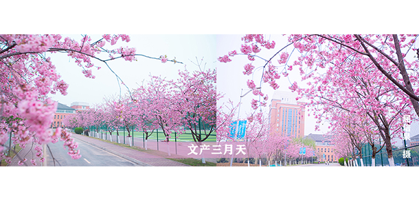四川文化產業(yè)職業(yè)學院 - 最美大學
