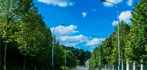 我的大學-大學志
