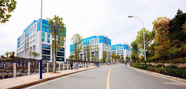 我的大學-大學志