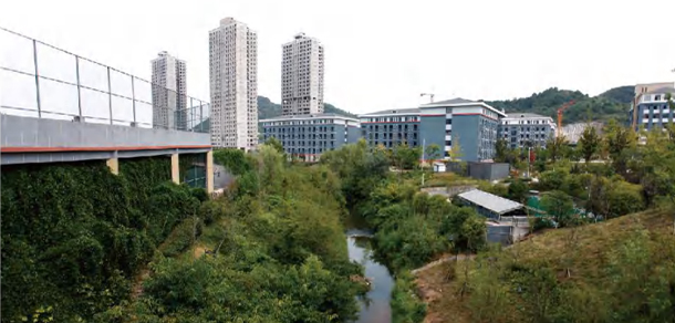 貴州農(nóng)業(yè)職業(yè)學院