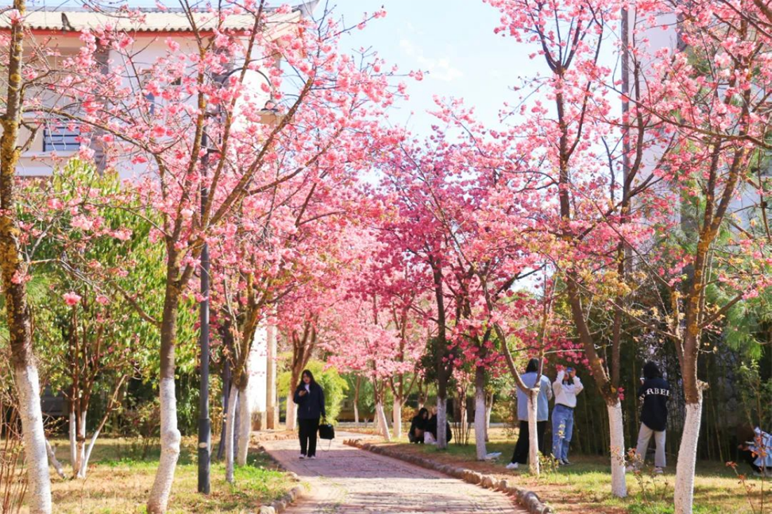 麗江文化旅游學(xué)院（原云南大學(xué)旅游文化學(xué)院）2022年?？普猩?jiǎn)章