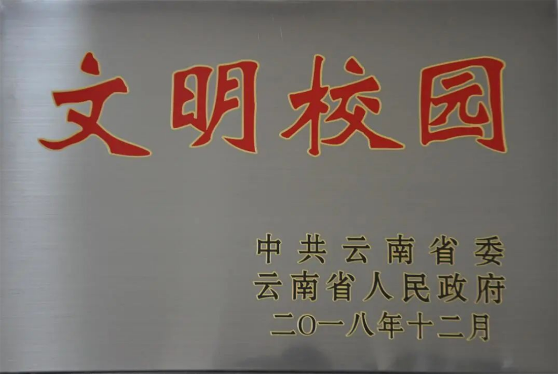麗江文化旅游學(xué)院（原云南大學(xué)旅游文化學(xué)院）2022年專科招生簡(jiǎn)章