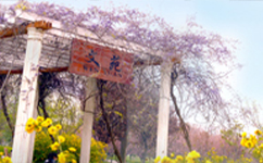 西安工程大學 - 我的大學