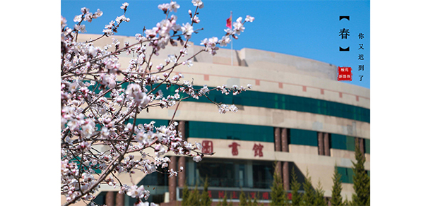 榆林學院