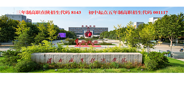 渭南職業(yè)技術(shù)學院