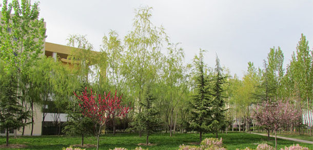 銅川職業(yè)技術學院 - 最美大學