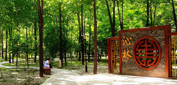西安醫(yī)學(xué)高等?？茖W(xué)校 - 最美大學(xué)