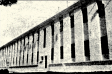 國(guó)立蘭州大學(xué)時(shí)期