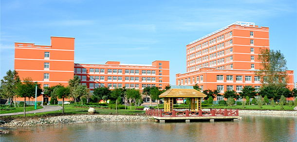 我的大學-大學志