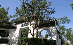歷史沿革(概)校史