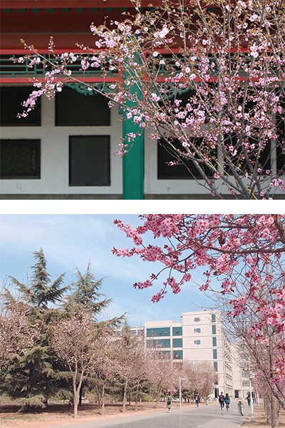河北農業(yè)大學