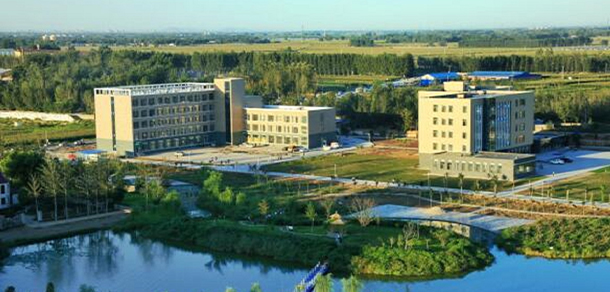 我的大學(xué)-大學(xué)志