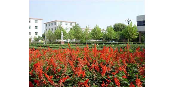 保定幼兒師范高等?？茖W(xué)校