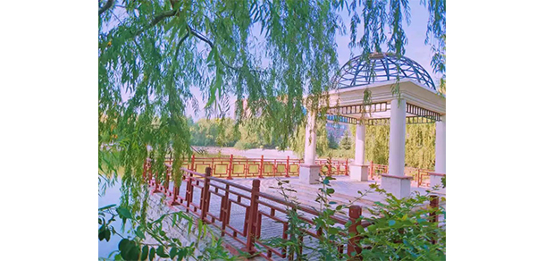 2022年招生計(jì)劃