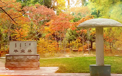 內(nèi)蒙古大學 - 我的大學