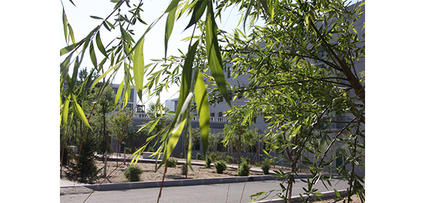 我的大學(xué)-大學(xué)志