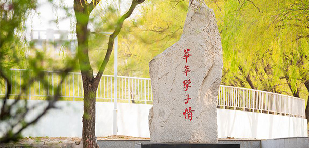 2022年招生分?jǐn)?shù)