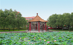 鶴崗師范高等?？茖W(xué)校 - 我的大學(xué)