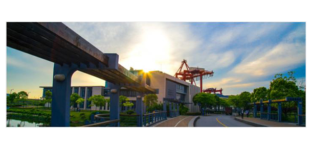 我的大學(xué)-大學(xué)志