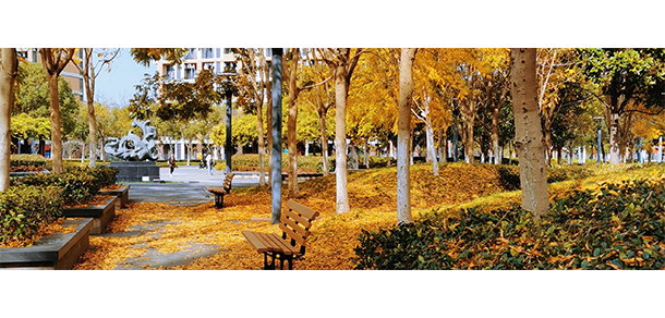我的大學-大學志